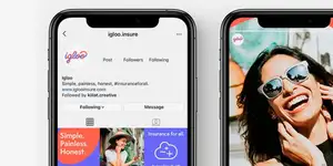�������� Igloo ������� �� ��������� $36 ��� � ������������ ����� ��� C