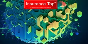 Insurance TOP       2023 