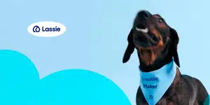 �������� Lassie ������� $75 ��� � ����� ��� C �� ������������� ����� ����������� �������� ������ � �����