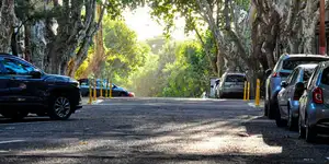 ʳ������ ���������� �������� ����������� ������ ������ � ������ �� 6� 2026 ������ �� 661 ���.