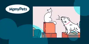 �������� ManyPets �������� ����� � ChatGPT ��� ������� ������� ����������� �������� ������