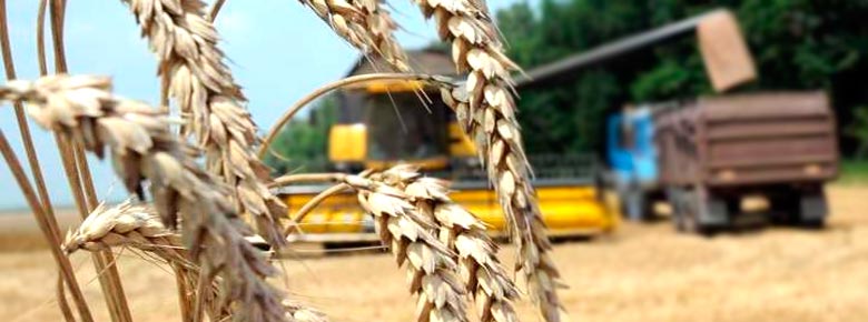 На господдержку агрострахования в Украине выделили 240 млн грн. Какие риски аграриев будут покрываться?