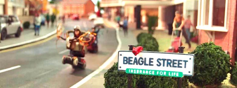    OneFamily     Beagle Street