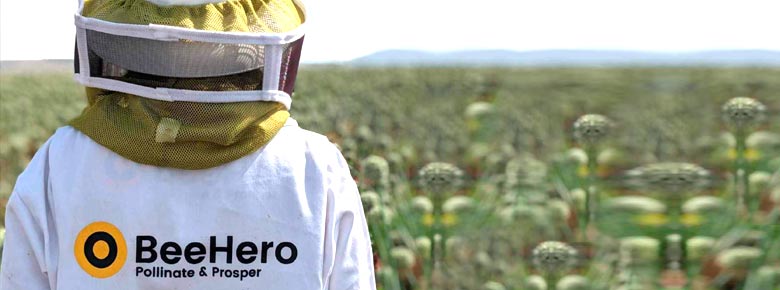 Іншуртех BeeHero залучив $42 млн фінансування серії B на боротьбу з глобальною продовольчою безпекою