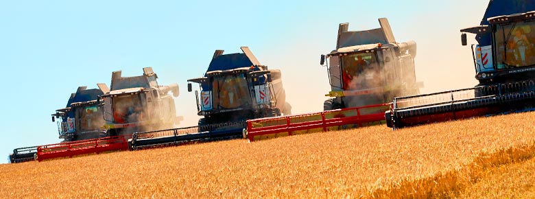 Минагрополитики утвердило условия страхования будущего урожая зерновых с господдержкой