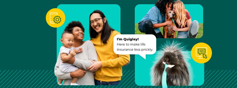 �������� Quility �������� ��� ��� ���������� �� F&G Annuities & Life