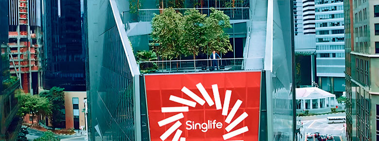 Sumitomo Life Insurance  35,5%  Singapore Life Holdings (Singlife)