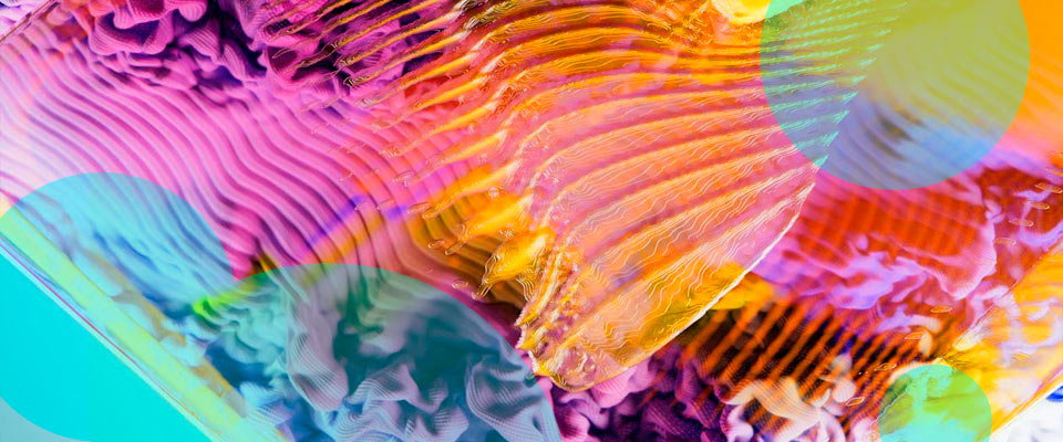 EIOPA ��������� ����������� ���� ��������� ������� ���������� �� ��-������ ��� �������� �����