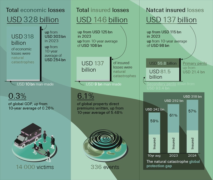 �������� ���������� � 2024 ����