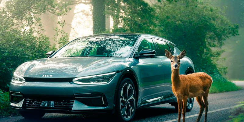 �볺��� �� �������� ������������ � ������ �������� 31,4 ��� ��� ������ �� �����