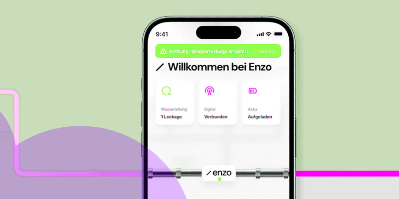 �������� Enzo ������� �4 ��� ����������� ������������ ��� ������������� ��-���������