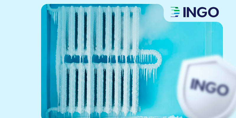 ���� ����������� ���� ��������� �������� ����� ���� �����������: 19 ��������� ������� �� 10 ����