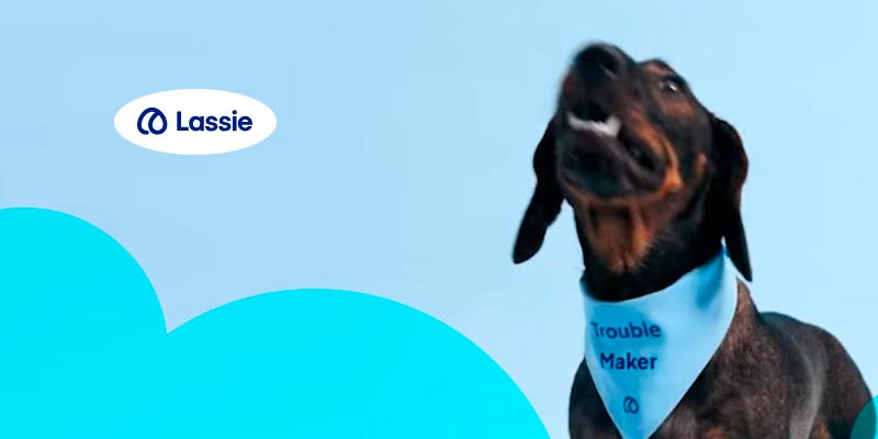 �������� Lassie ������� $75 ��� � ����� ��� C �� ������������� ����� ����������� �������� ������ � �����