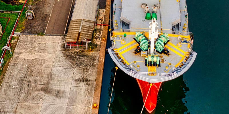 Kennedys ��������� ��� ������������ ������� ��� ����� ����������� ����� ������� ���-������-����