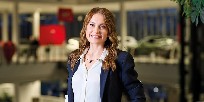 ������ ������, ���������� ���������� �� �������� ������������